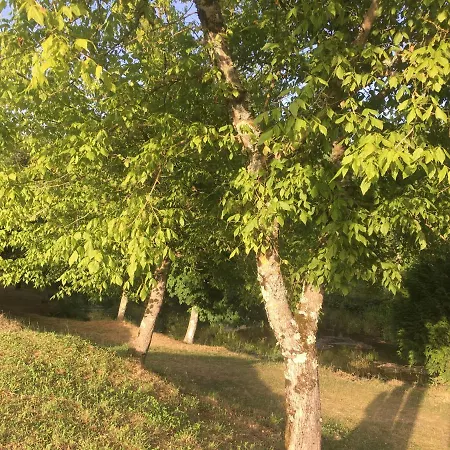 Casa S. Nicolau * Cabeceiras de Basto